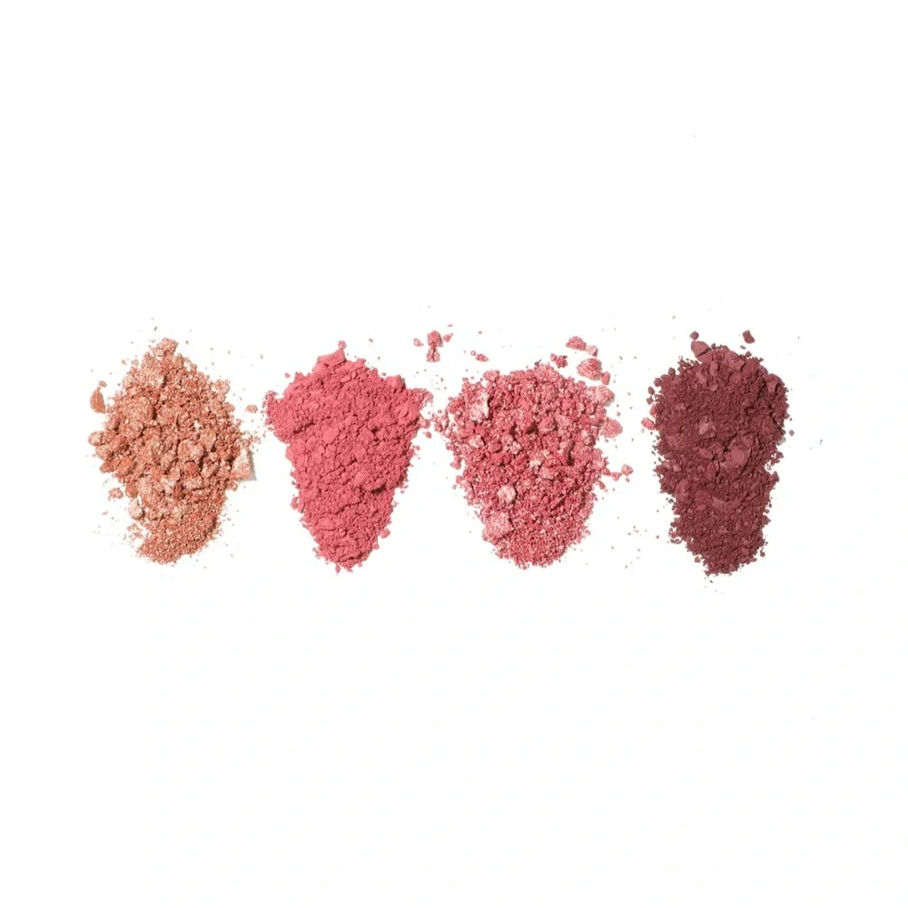 NEW 2pc Quads Beauty Vaults Cosmetics 8 Highly Pigmented Eyeshadows PLUM & SMOKY